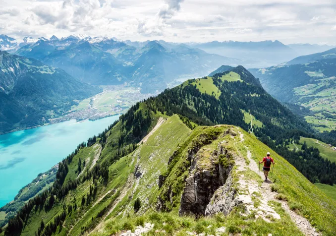 ©iStock/Markus Thoenen