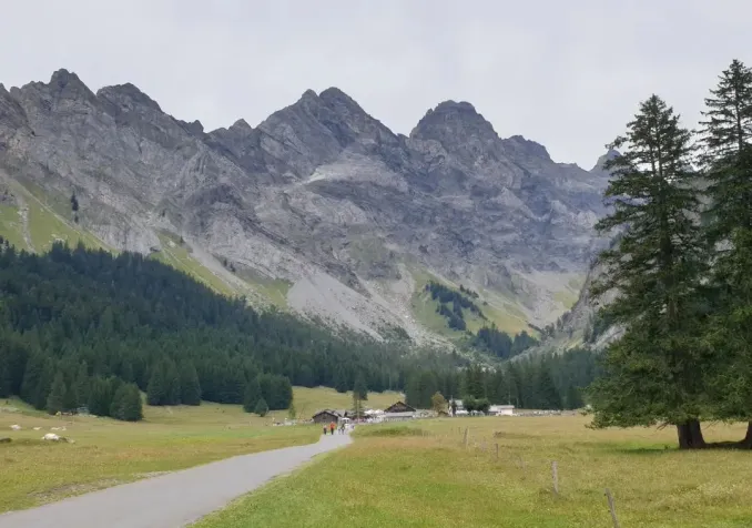 Mi-été de Solalex 2022 (©Matthias Wirz)